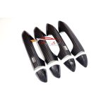 Door handle carbon proton x70