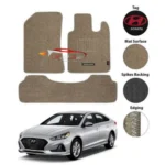 Hyundai sonata carpet mats skin colour