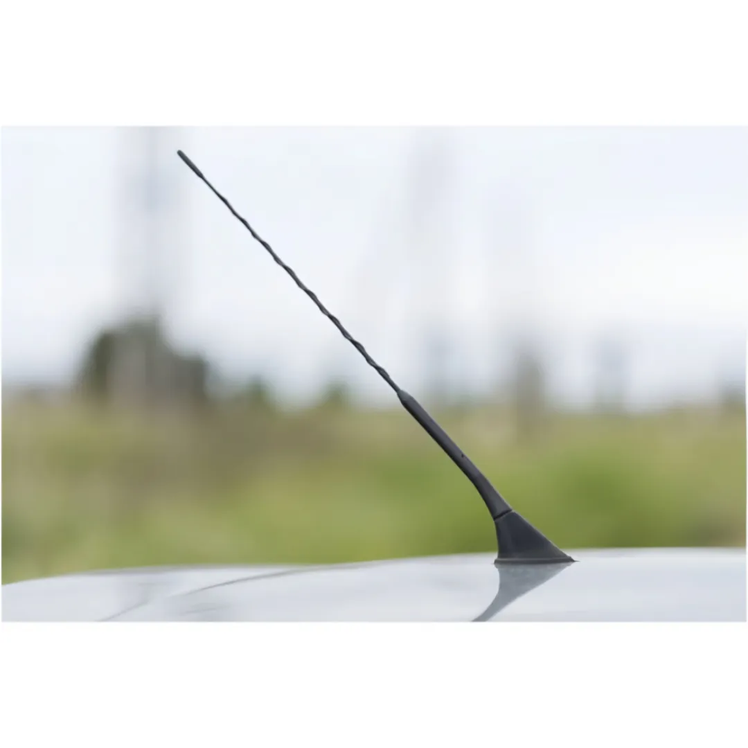 Car Antenna & Toppers